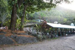 Ellis Beach QLD Tourism TAS