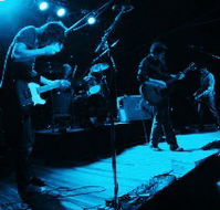 Fly By Night Musicians Club - Hobart Tourism