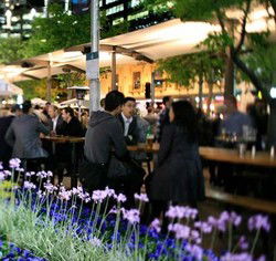 Quay Bar - Tourism TAS 0