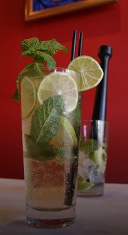 Mojos  - Tourism TAS 1