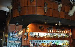 Safari Cocktail Bar - Tourism TAS 1