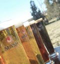 Mash Brewery - Swan Valley - Tourism TAS 2