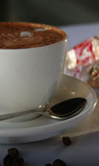 Mojos  - Tourism TAS 2