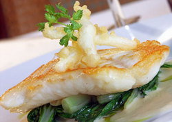 Brighton Savoy - Tourism TAS 3