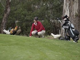 Tasmania Golf Club - The - Hobart Tourism 0