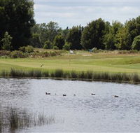 Llanherne Golf Club - Tourism TAS