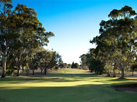 Loxton Golf Club - Hobart Tourism 0