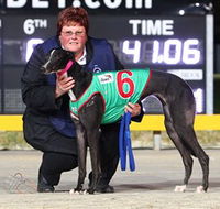 Bulli Greyhound Racing Club - Hobart Tourism