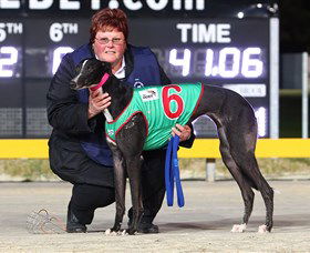 Bulli Greyhound Racing Club - Hobart Tourism 0