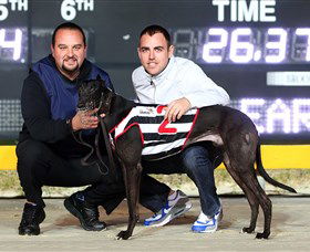 Bulli Greyhound Racing Club - Hobart Tourism 1