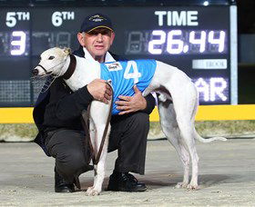 Bulli Greyhound Racing Club - Hobart Tourism 2