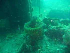 Wallaroo Scuba Club - Tourism TAS 0