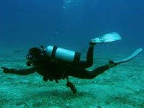 Wallaroo Scuba Club - Tourism TAS 1