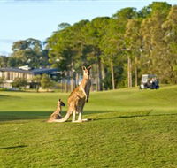 Sanctuary Cove Golf and Country Club - Hobart Tourism