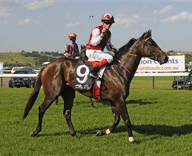 Kembla Grange Racecourse - Illawarra Turf Club - Tourism TAS 2