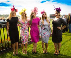 Kembla Grange Racecourse - Illawarra Turf Club - Tourism TAS 4