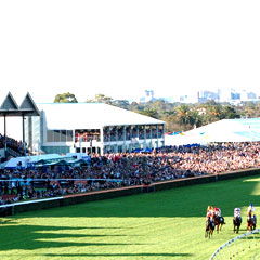 Morphettville SA Hobart Tourism