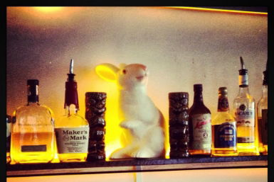 Hairy Canary - Tourism TAS 0