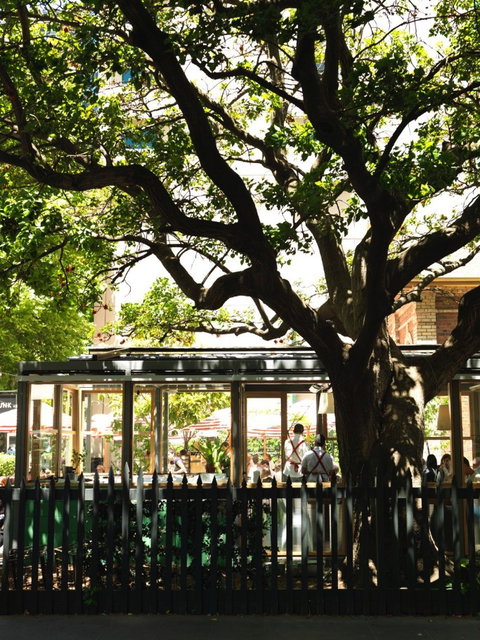 Trunk Diner - Tourism TAS 11