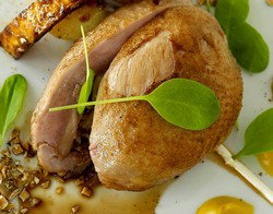 Blu Bar On 36 - Tourism TAS 3