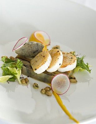 Bel Mondo - Hobart Tourism 4