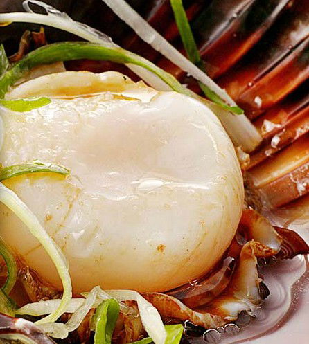 Golden Century Seafood Restaurant - Hobart Tourism 2
