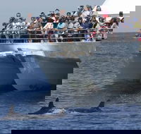 MoonshadowTQC Cruises - Tourism TAS