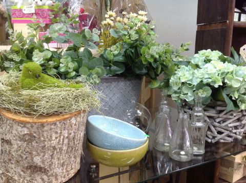 Fiori With Love - Hobart Tourism 2