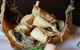 Sakana-Ya Japanese Restaurant - thumb 3