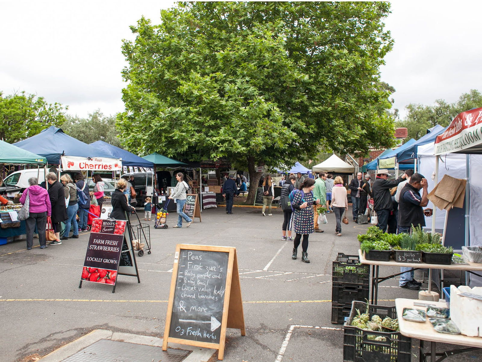 Alphington VIC Tourism TAS