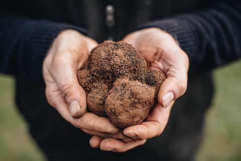 A Taste Of Truffles - Hobart Tourism 0