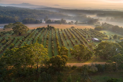 A Taste Of Truffles - Hobart Tourism 1