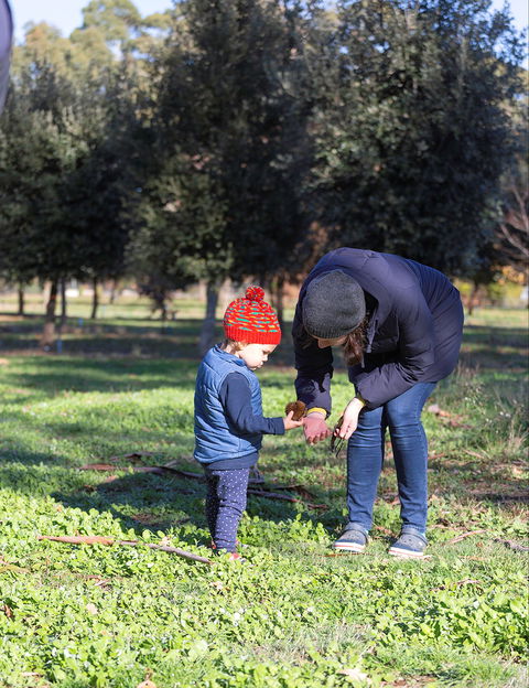 A Taste Of Truffles - Hobart Tourism 2
