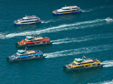 Australia Day Sydney Harbour Cruises - Tourism TAS 1