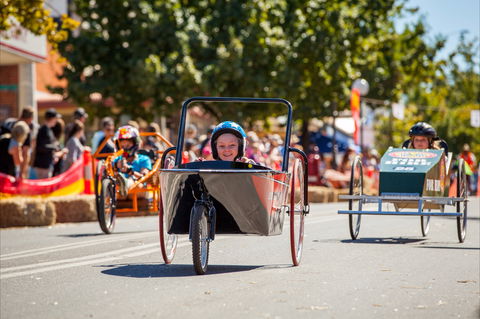 Australian Billy Cart Championships - Hobart Tourism 2
