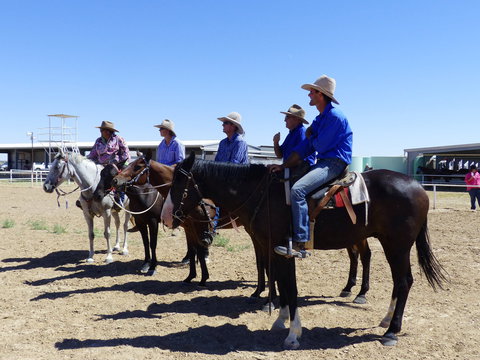 Betoota Horse And Motorbike Gymkhana - Hobart Tourism 1