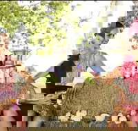 Burdekin Growers Race Day - Hobart Tourism