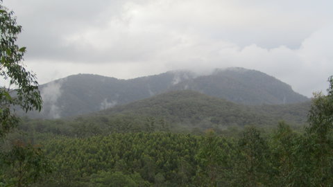 Elephant Trail Race - Tourism TAS 2