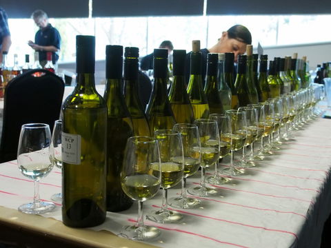 Eltham And District Wine Guild Annual Wine Show - 51st Annual Show - Hobart Tourism 1