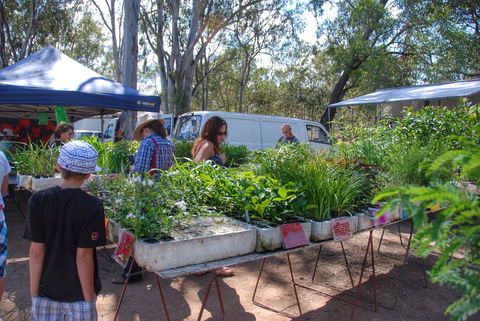 Fernvale Country Markets - Tourism TAS 1