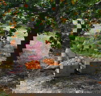 Fruit Bottling Sessions at Rayner's Orchard - Hobart Tourism