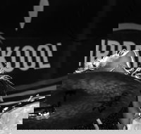 Girrakool Blues Festival and Barbecue - Hobart Tourism