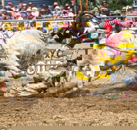 Jindabyne's Man From Snowy River Rodeo - Hobart Tourism