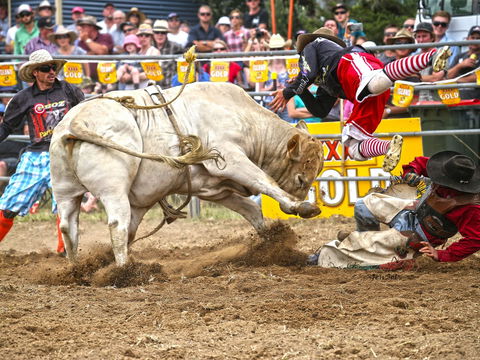 Jindabyne's Man From Snowy River Rodeo - Hobart Tourism 0