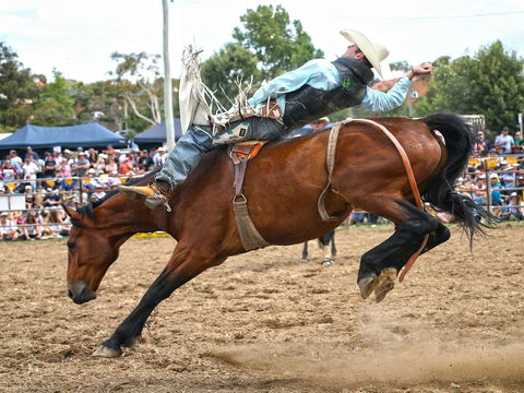 Jindabyne's Man From Snowy River Rodeo - Hobart Tourism 1