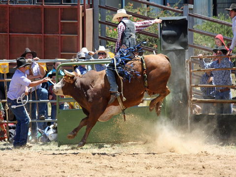 Jindabyne's Man From Snowy River Rodeo - Hobart Tourism 2