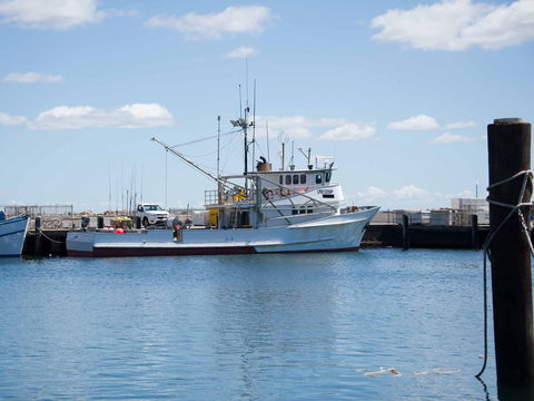 Love Sea Food Port Stephens - Tourism TAS 1