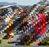 Lovedale Long Lunch - Tourism TAS