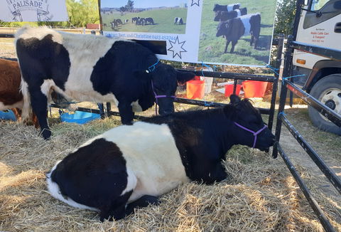 Murrumbateman Field Days - Tourism TAS 2