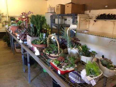 Narrabri Show - Tourism TAS 2